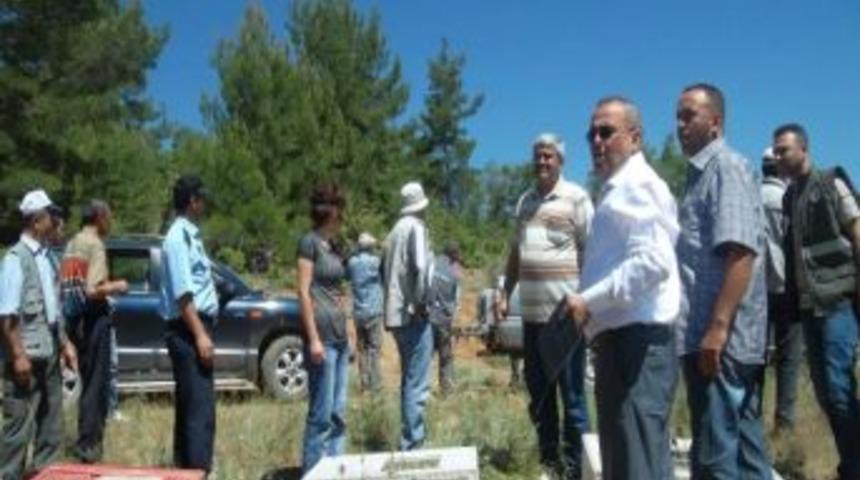 G&ouml;ktepe Beldesinde 200 Keklik Doğaya Bırakıldı