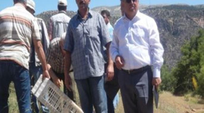 Karaman'da Doğaya 200 Kınalı Keklik Bırakıldı