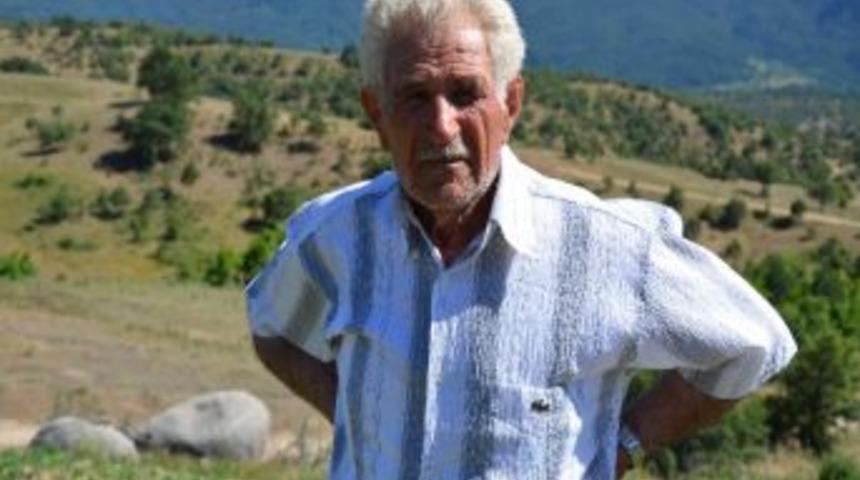 Beldeyi &Ccedil;ekirgeler İstila Etti