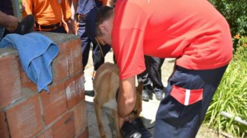 Ormanlık Alanda Kaybolan Zihinsel Engelli Şahıs Özel Eğitimli Köpekle Aranıyor