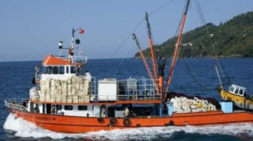 Ordu'da Hamsi &Uuml;retimi Katladı