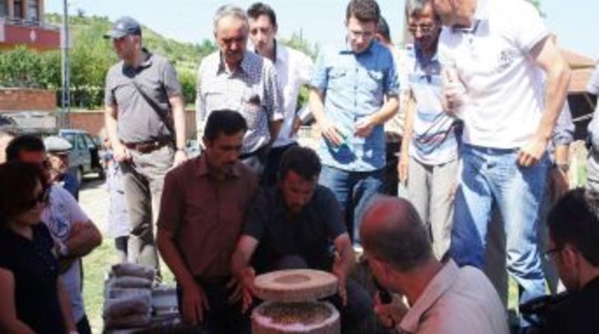 Kayın Mantarı K&ouml;yl&uuml;ye Ek Gelir Olacak