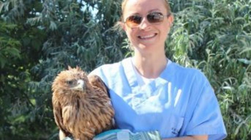 Edremit'te Aşırı Sıcak Yaban Hayvanlarını Vuruyor