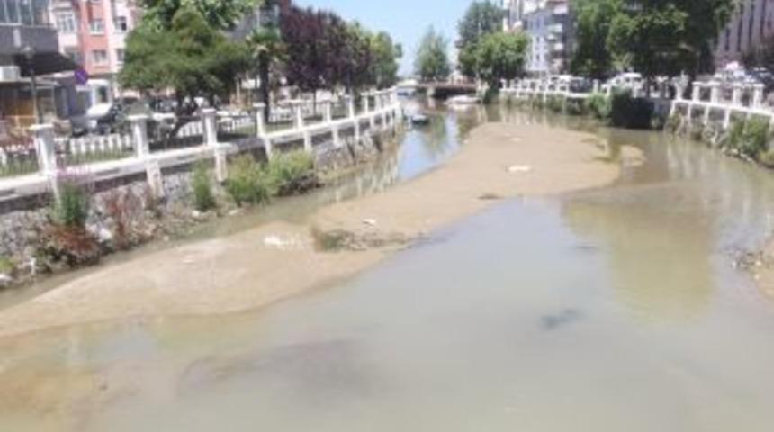 Safran Deresi Bataklık oldu, Belediye Uyuyor