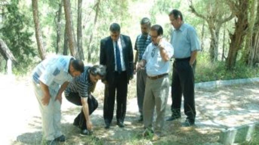 Seydiler K&ouml;y&uuml;ne K&uuml;lliye Yapılacak