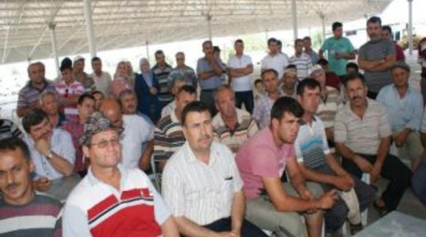 Kara&ccedil;ulha&rsquo;nın Yeni Semt Pazarı Esnafa Tanıtıldı