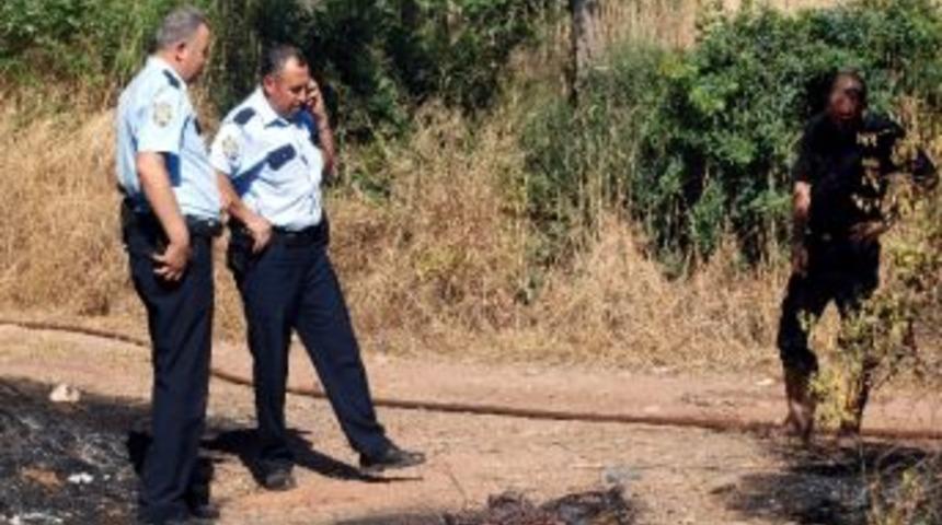 Tembel Hırsız 10 D&ouml;n&uuml;m Tarlayı K&uuml;l Etti