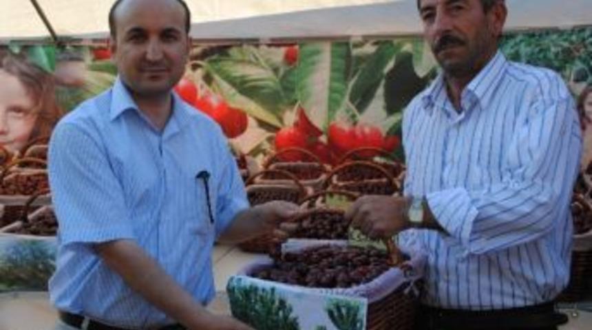 Kiraz Yarışmasına Katılan T&uuml;m &Uuml;reticiler &Ouml;d&uuml;l Aldı