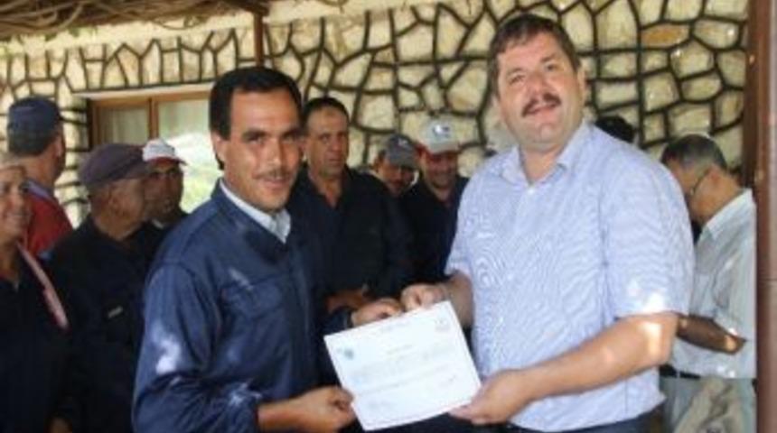 Fidanlık İş&ccedil;ilerine Fsc Sertifikası