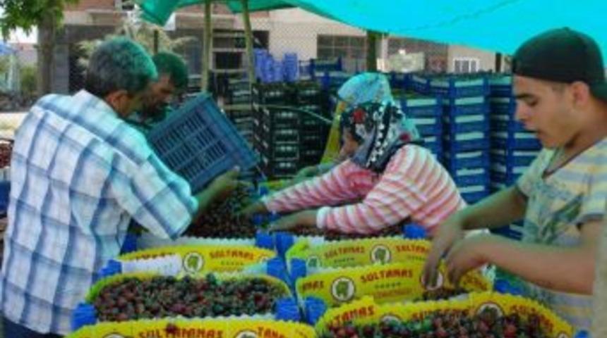 Pazarlar&rsquo;da Kiraz Sezonu A&ccedil;ıldı