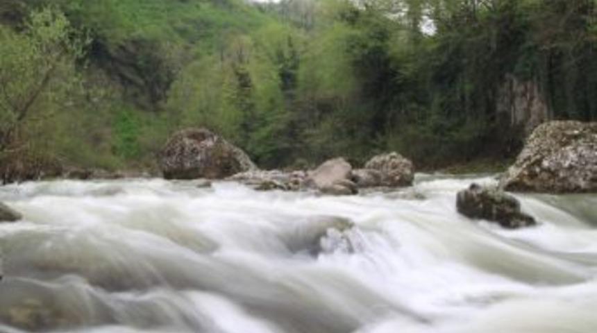 Tema, Su Kanunu İstiyor