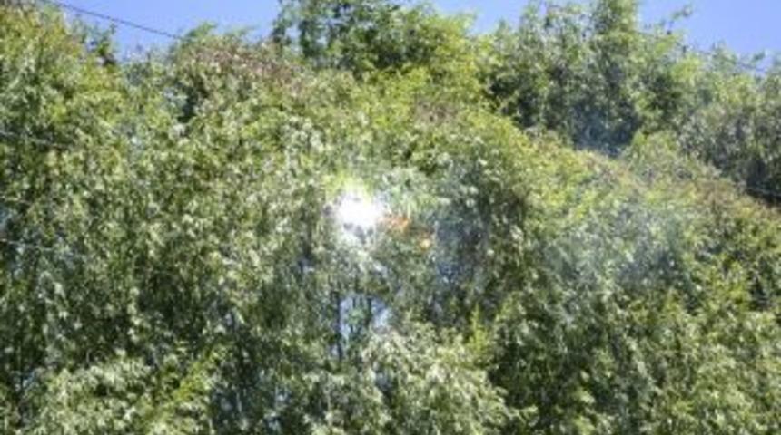 Elektrik Tellerinden Caddeye Kıvılcım Yağmuru