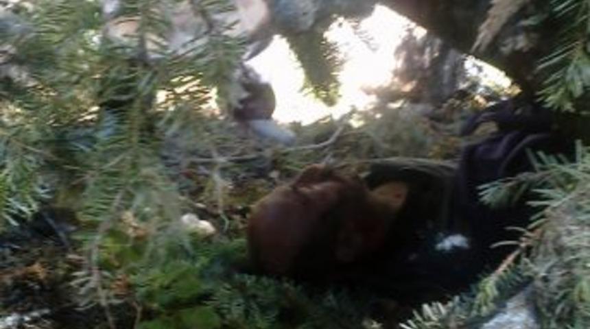 K&ouml;y Muhtarı Trakt&ouml;r&uuml;n Altında Kalarak Hayatını Kaybetti