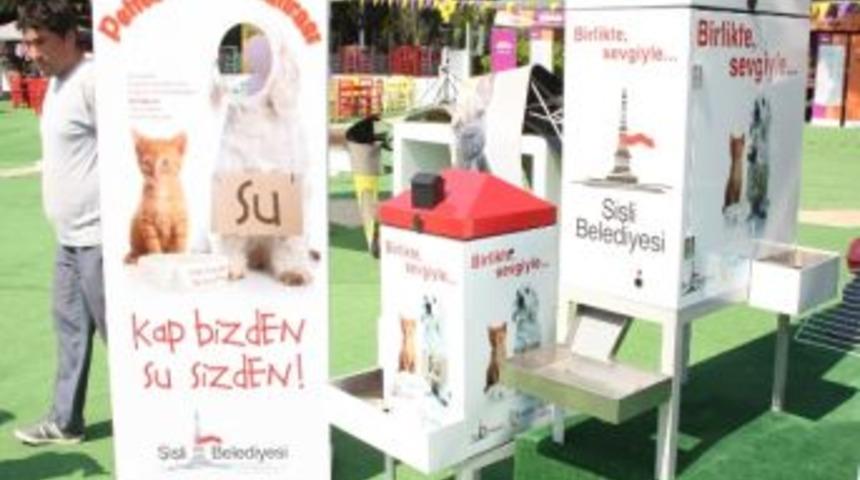 Şişli Belediyesi Yaz Sıcaklarında, En Yakın Dostlarını Unutmadı