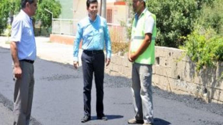 T&uuml;t&uuml;nc&uuml;, Altınova&rsquo;daki &Ccedil;alışmaları Denetledi