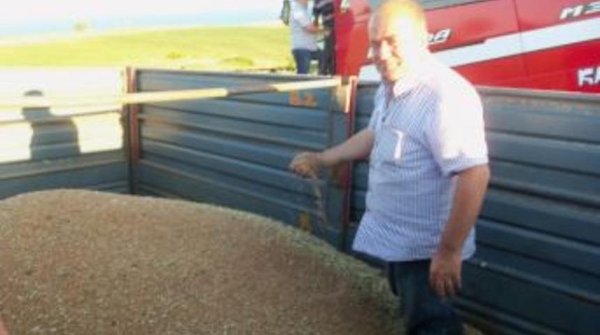 Gelibolu&rsquo;da Buğday Hasadı Başladı