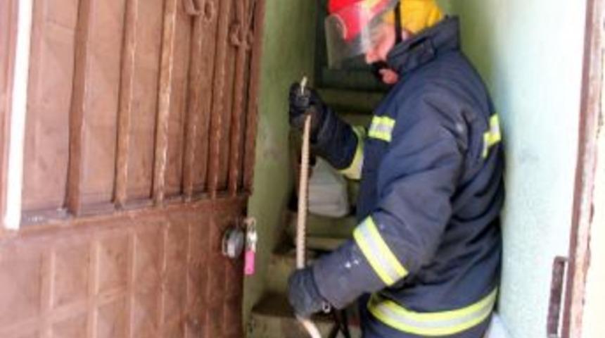 Evin Tavan Arasından 140 Santimetrelik Yılan &Ccedil;ıktı