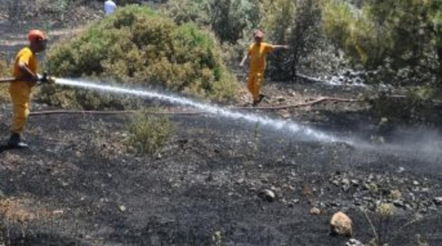 Bodrum&rsquo;da Arazi Yangını