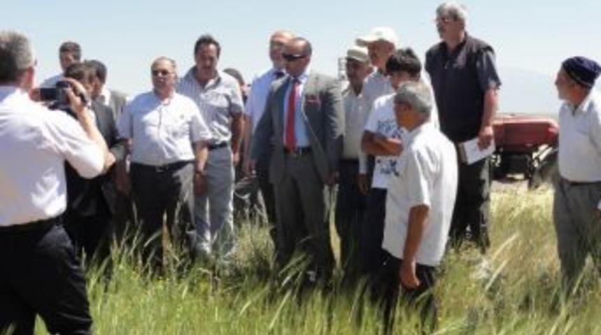 Bolvadin&rsquo;de Tarla G&uuml;n&uuml; Etkinliği