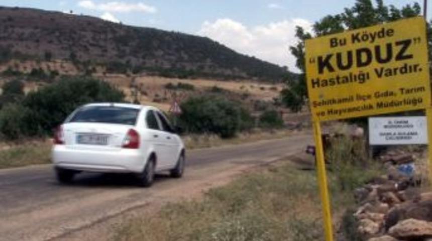 Gaziantep&rsquo;te Bir K&ouml;y Kuduz Nedeniyle Karantinaya Alındı