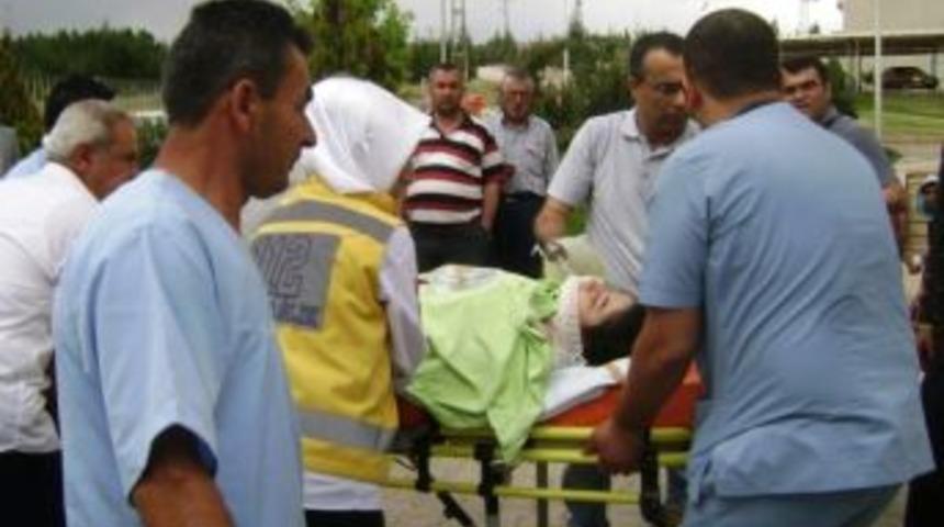 Bah&ccedil;ede &Ccedil;alışırken &Uuml;zerine Yıldırım D&uuml;şt&uuml;