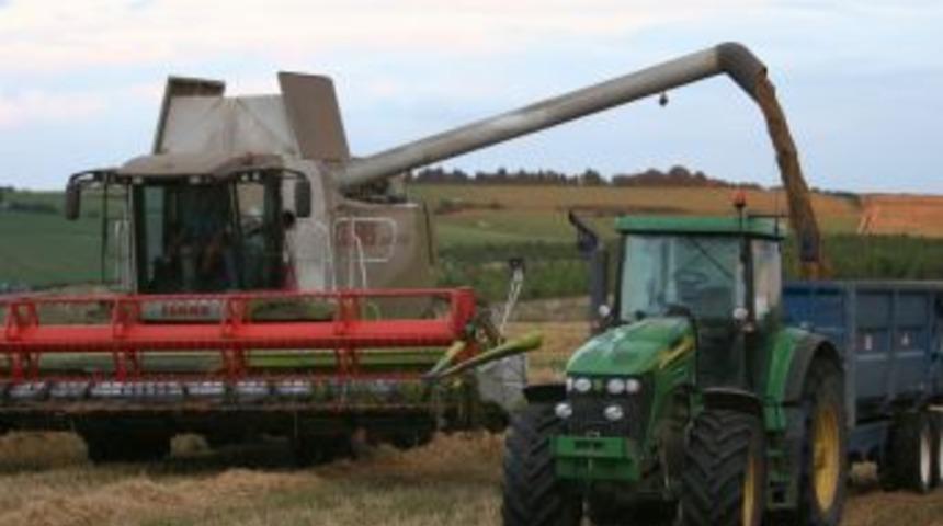 210 Bin Dekar Alanda Hububat Hasadı Başladı