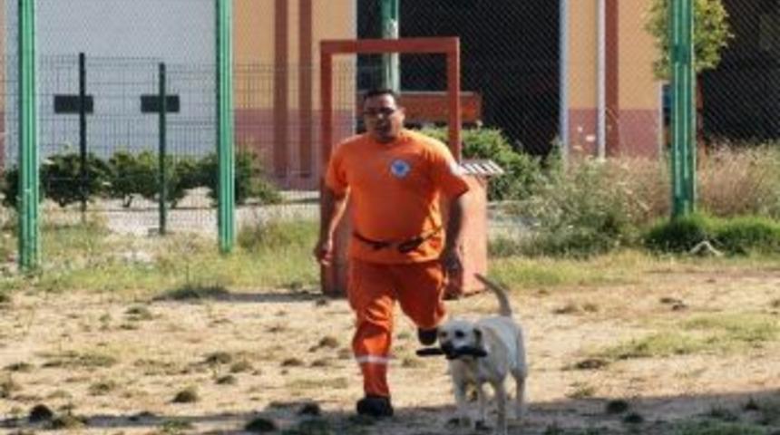 Arama Kurtarma Timine 14 Taze Kan