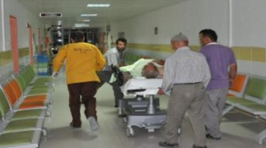 Otomobil İle Ot Y&uuml;kl&uuml; Pikap &Ccedil;arpıştı: 4 Yaralı