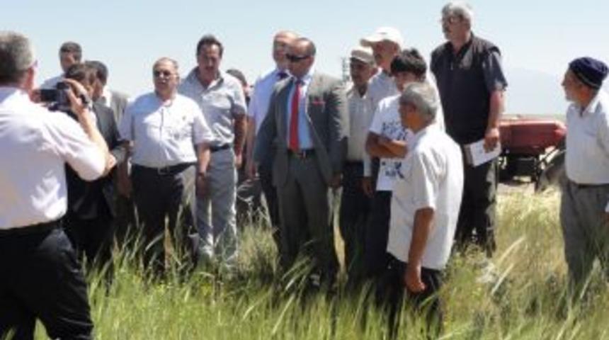 Aydan Hanım Arpa &Ccedil;eşidi Tarla G&uuml;n&uuml;yle &Ccedil;ift&ccedil;iye Tanıtıldı