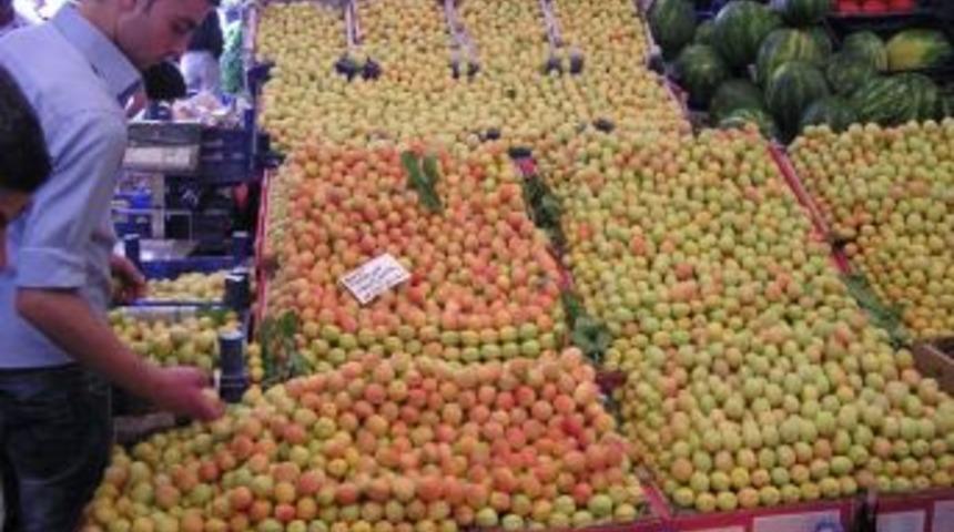 Yaş Kayısının Fiyatı G&uuml;nden G&uuml;ne D&uuml;ş&uuml;yor