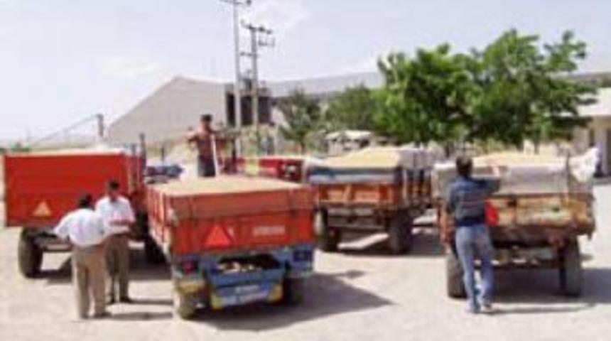 Kuyruk &ccedil;ilesine son