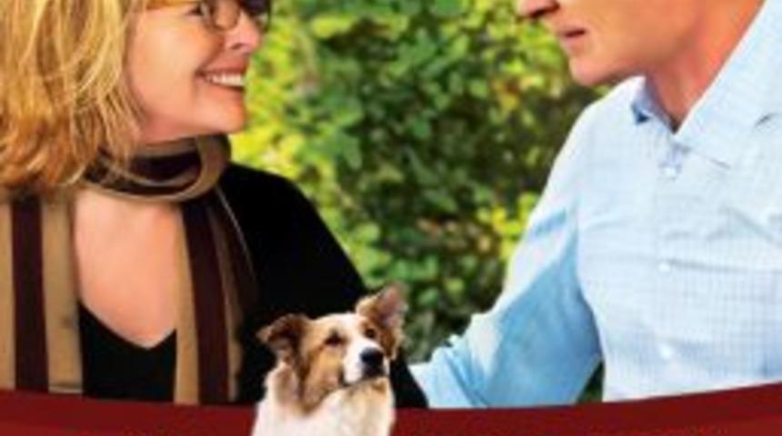 Piranalar Seyirciyi Koltuğa Yapıştıracak