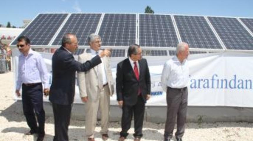 B&uuml;ğd&uuml;z'de G&uuml;neş tarlaları kuruldu