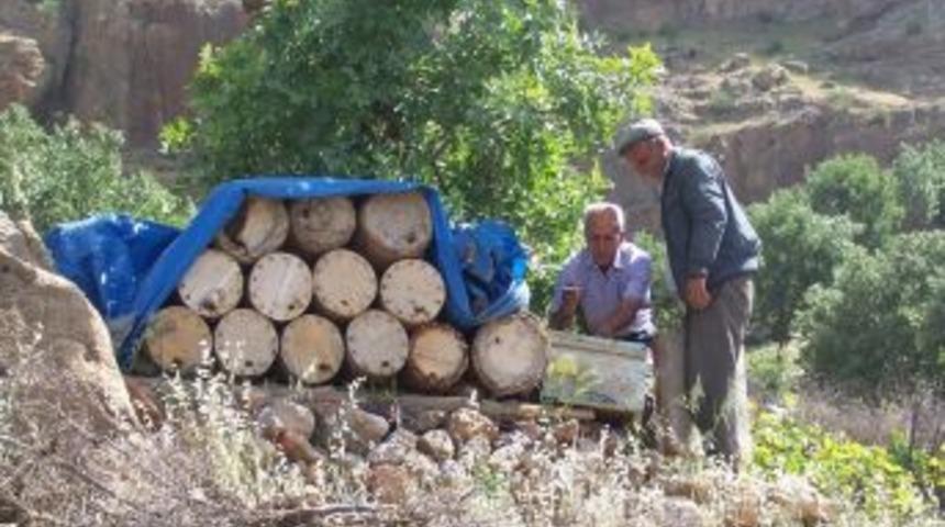 Şirvan Arıcılıkta Artık Daha Bilin&ccedil;li