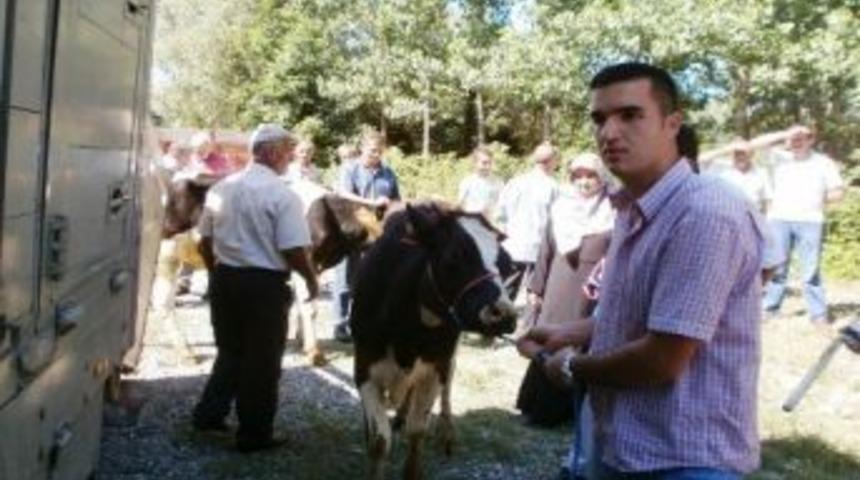 G&ouml;lyaka&rsquo;da 14 Aileye 2&rsquo;şer D&uuml;ve