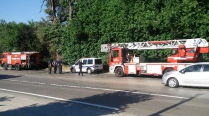 Tarihi &Ccedil;ınarı K&ouml;p&uuml;kle Kurtardılar