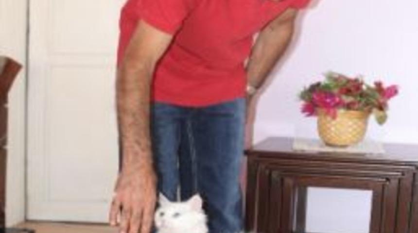 Van Kedilerinin Yarışma Heyecanı