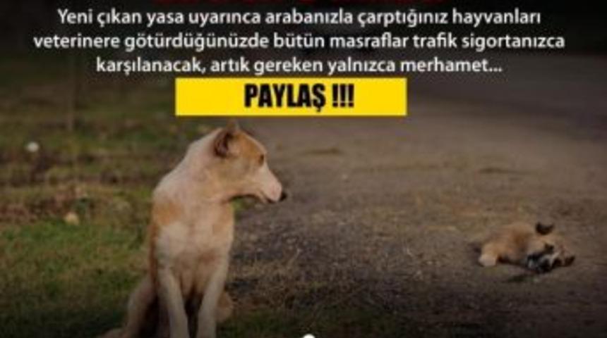 Sosyal Medya &lsquo;yasa&rsquo; &Ccedil;ıkarttı