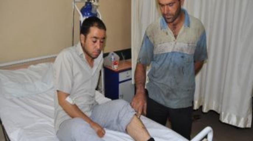 Nizip&rsquo;te Bir Kişiyi Kene Isırdı