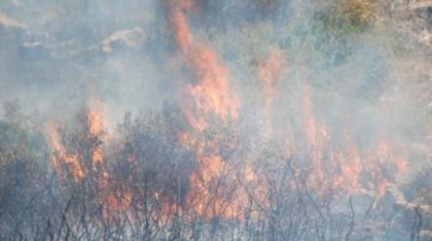 Didim&rsquo;de 30 Dekarlık Makilik Alan K&uuml;l Oldu