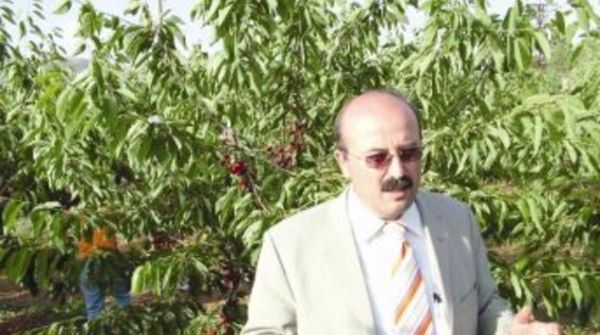 Uluborlu&rsquo;da Kiraz Bereketi
