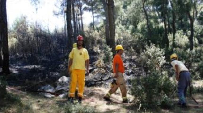 İzmir'de Orman Yangını