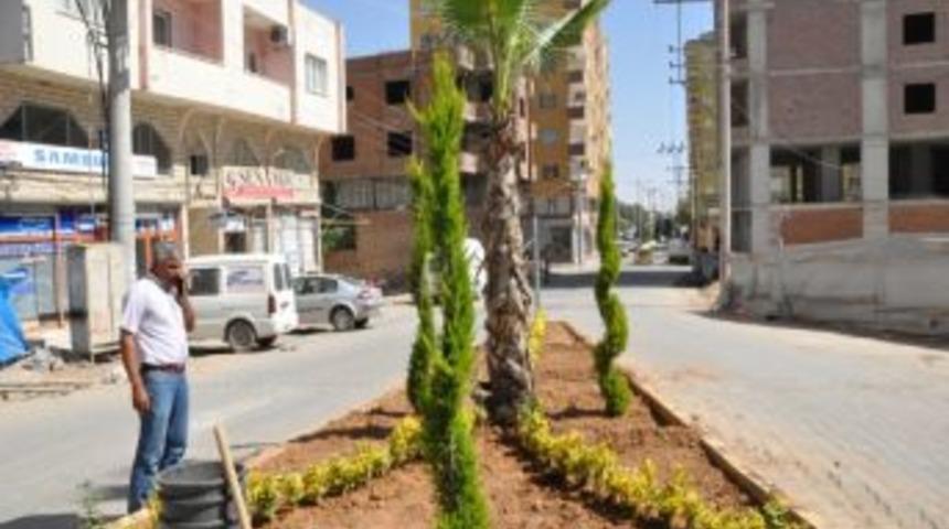 "her Şey Yeşil Bir Kızıltepe İ&ccedil;in" Projesi