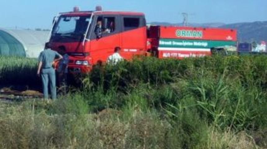 Anız Ateşi Tarlayı Yaktı
