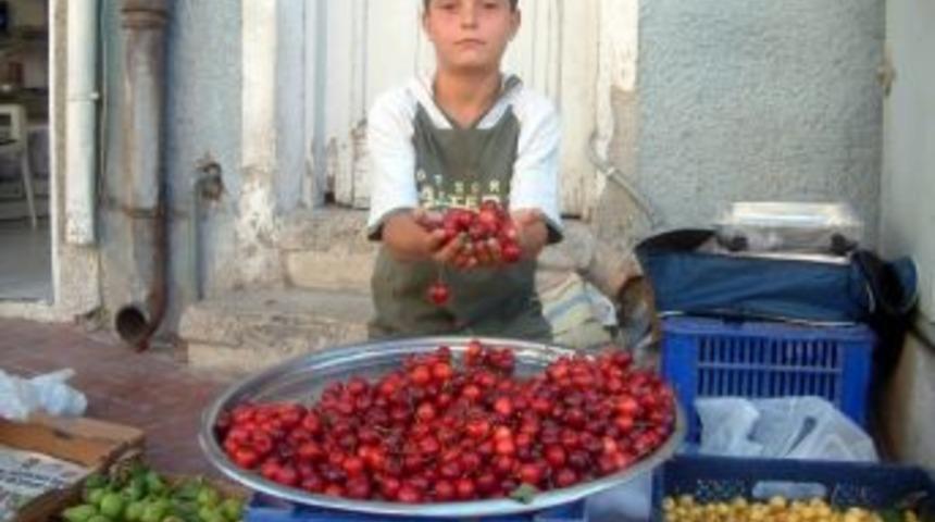 Burhaniye&rsquo;nin K&uuml;&ccedil;&uuml;k Manavı İlgi &Ccedil;ekiyor