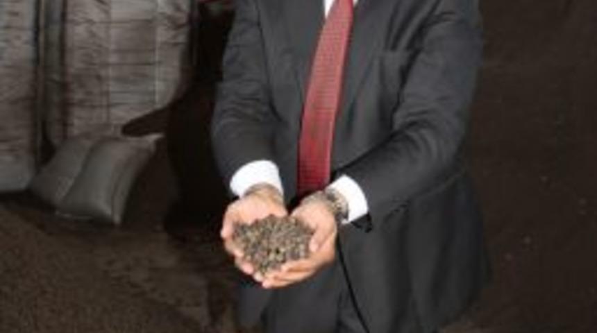 Zeytin &Ccedil;ekirdeğinden &Uuml;retilen Yakıt, Ithal K&ouml;m&uuml;re Rakip Oldu