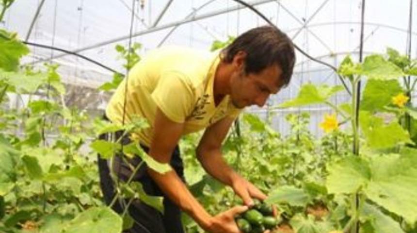 Damlama sulama ilk &uuml;r&uuml;nlerini verdi