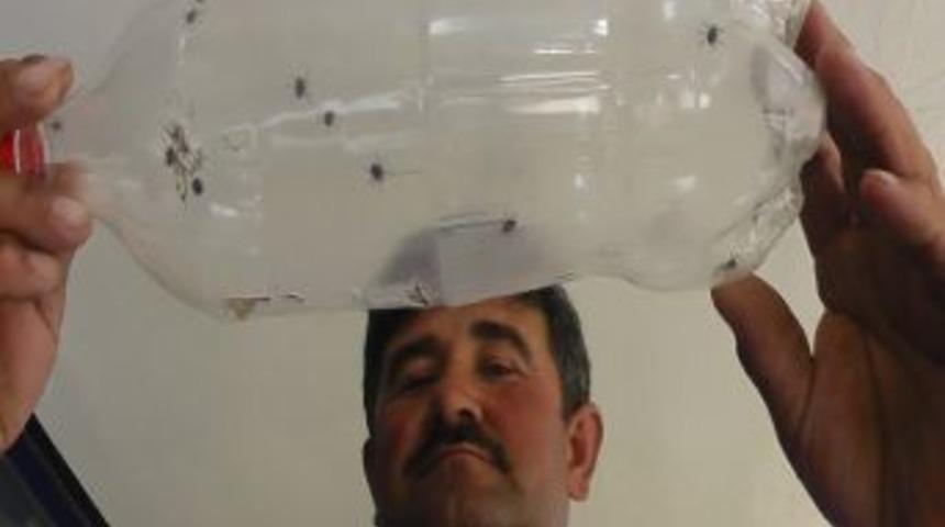 &Ccedil;obanların Kene Korkusu