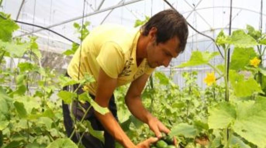 Kocaeli'de Damlama Sulama İlk &Uuml;r&uuml;nlerini Verdi