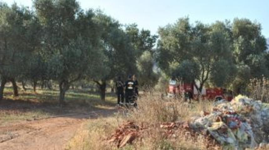 Aydın&rsquo;da Arazi Yangını